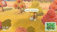 Mushrooms are available in November (Image via Animal Crossing world)